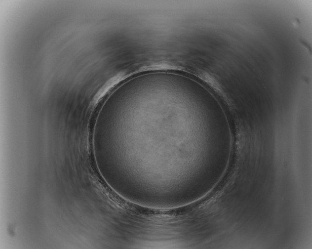 X0000103241173200809041040