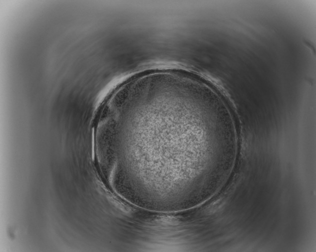 X0000103241175200809041040