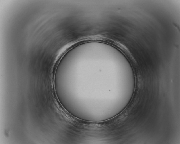 X0000103241176200809041040