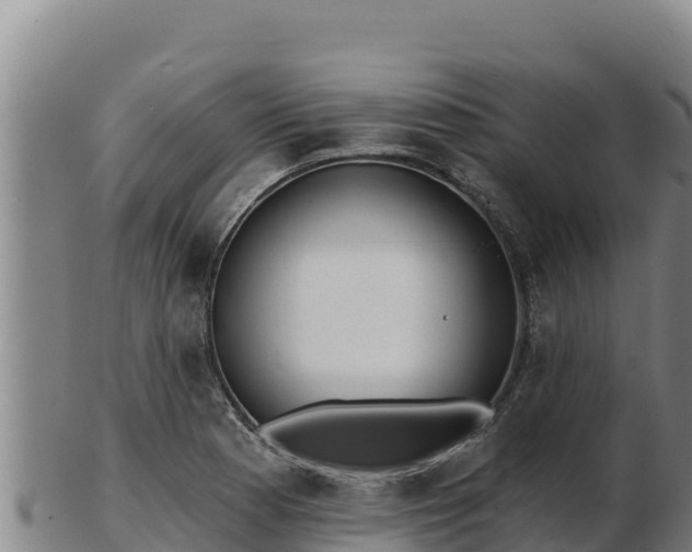 X0000103241177200809041040