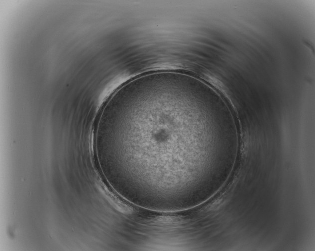 X0000103241179200809041040