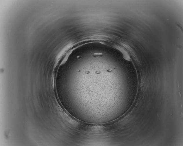 X0000103241180200809041040