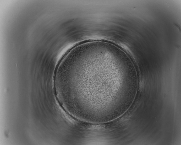 X0000103241183200809041040