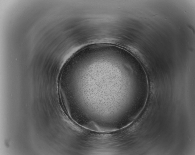 X0000103241184200809041040