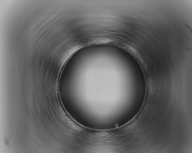 X0000103241186200809041040