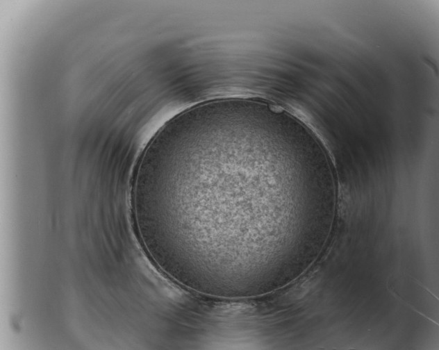 X0000103241187200809041040