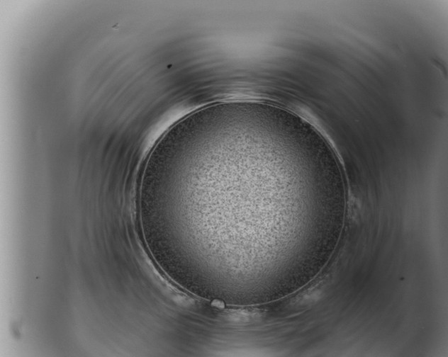 X0000103241195200809041040