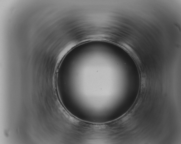 X0000103241196200809041040