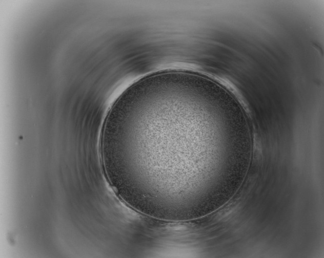 X0000103241199200809041039
