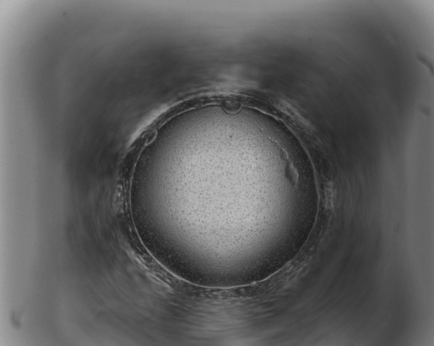 X0000103241208200809041039