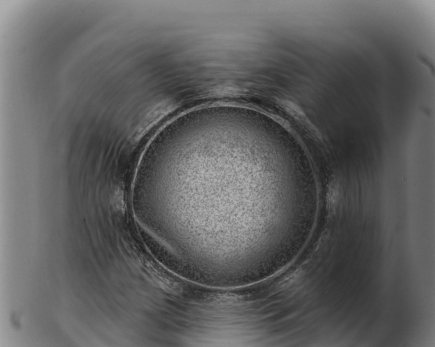 X0000103241209200809041039