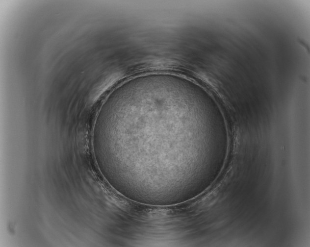 X0000103241211200809041039
