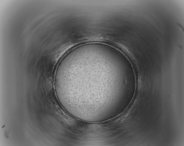 X0000103241212200809041039
