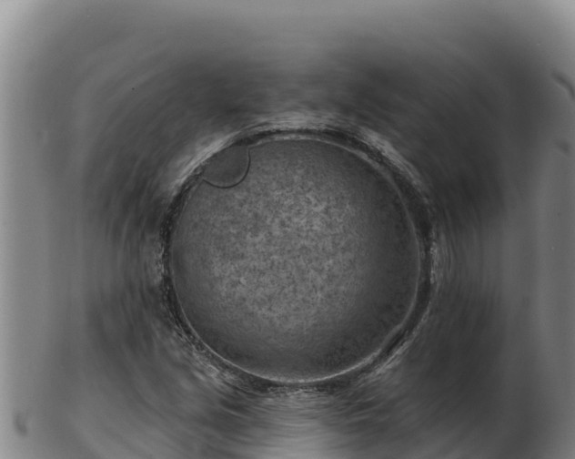 X0000103241213200809041039