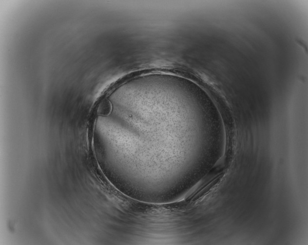 X0000103241214200809041039