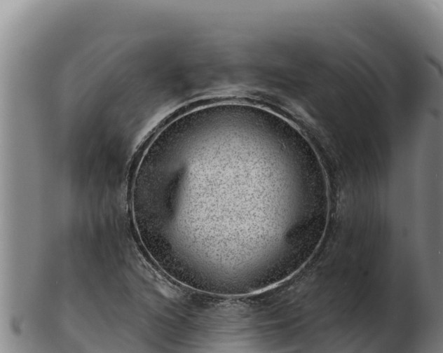 X0000103241216200809041039