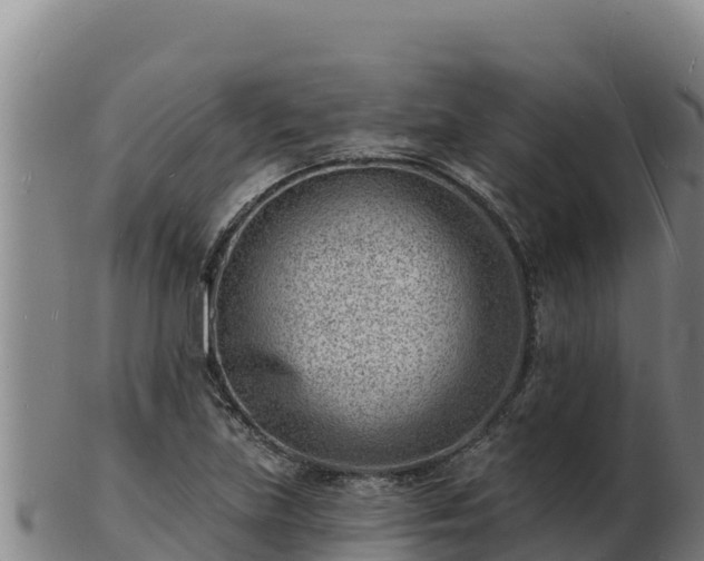 X0000103241219200809041039