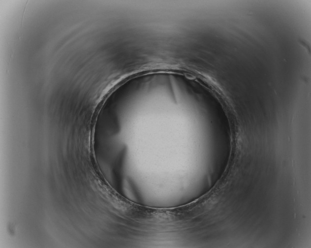 X0000103241220200809041039