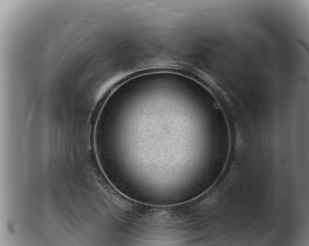 X0000103241222200809041039