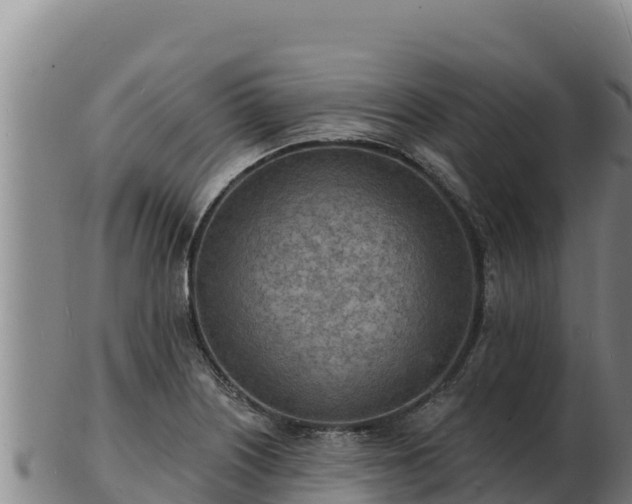 X0000103241226200809041039