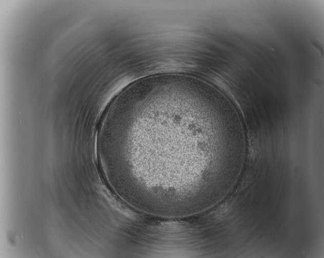 X0000103241227200809041039