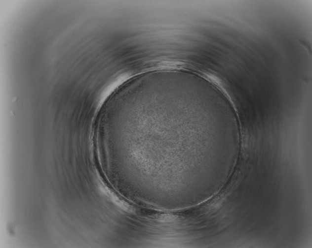 X0000103241235200809041039