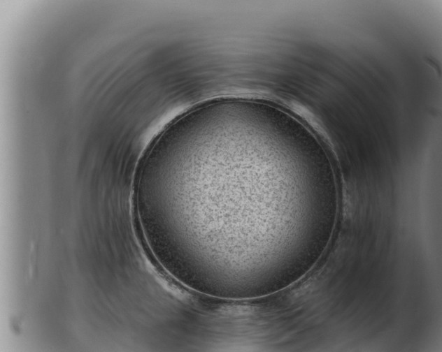 X0000103241237200809041039