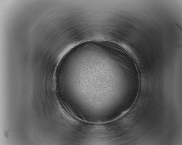 X0000103241238200809041039