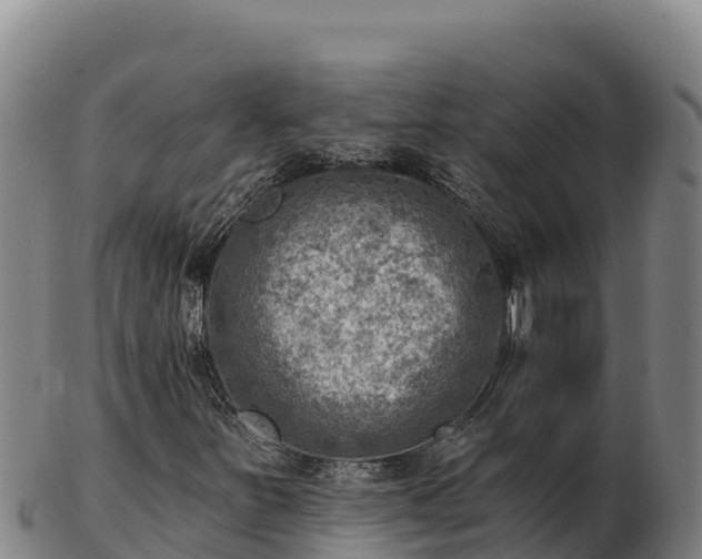 X0000103241251200809041039