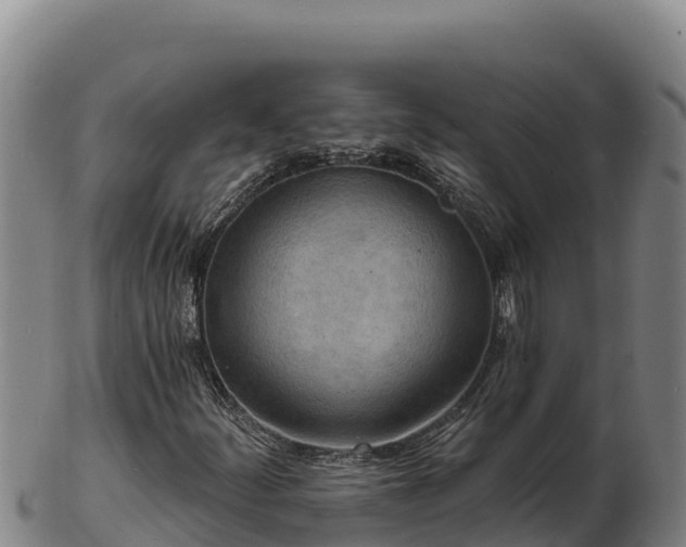 X0000103241252200809041039