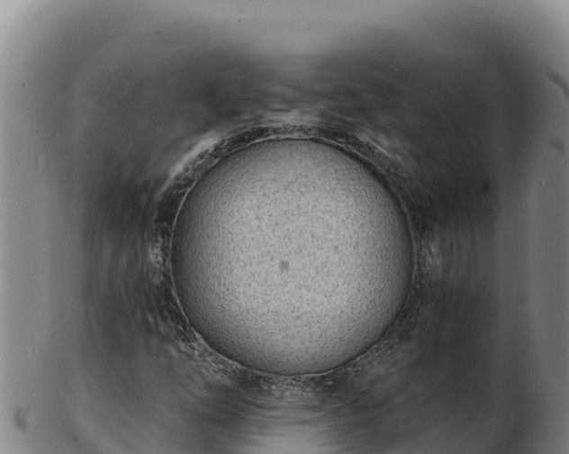 X0000103241254200809041039