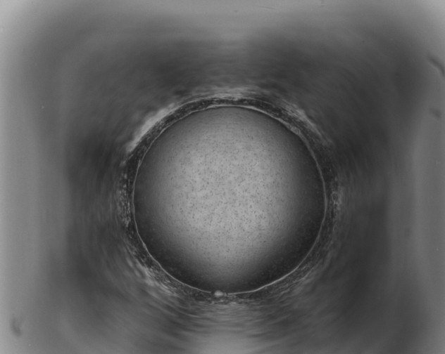 X0000103241256200809041039