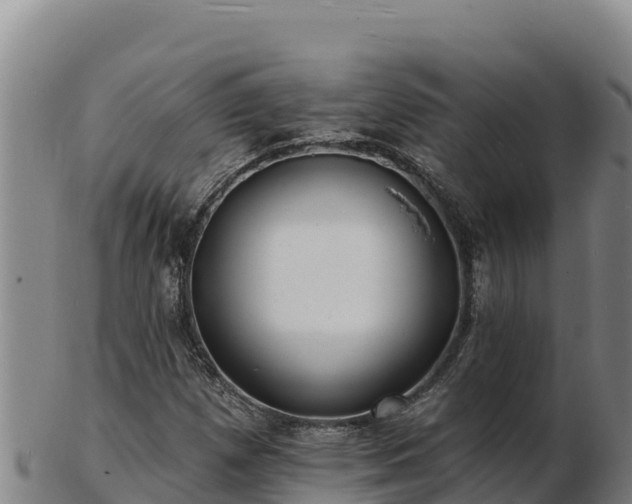 X0000103241257200809041039