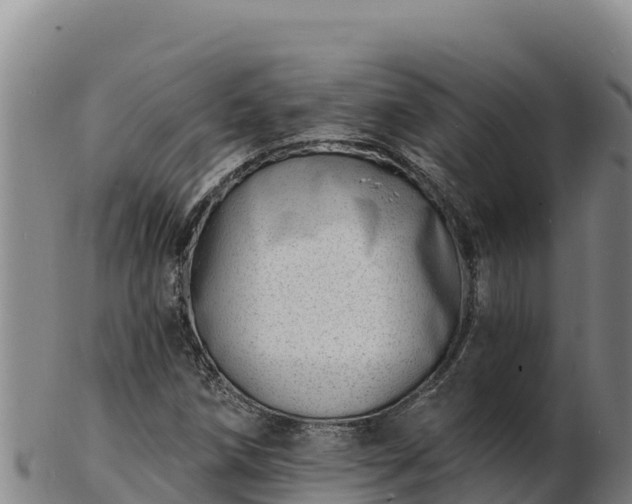 X0000103241258200809041038