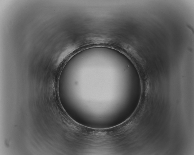X0000103241261200809041038