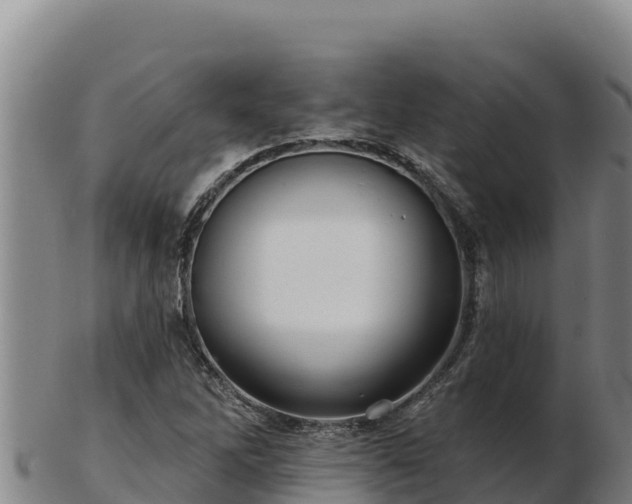 X0000103241262200809041038