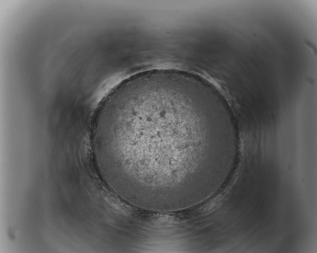 X0000103241263200809041038