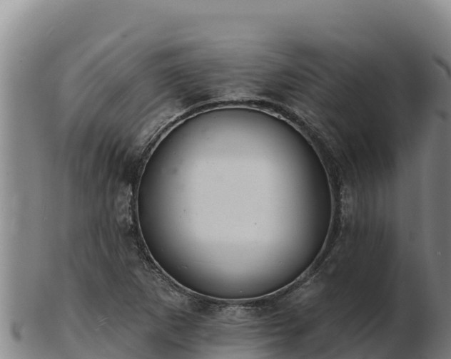 X0000103241265200809041038