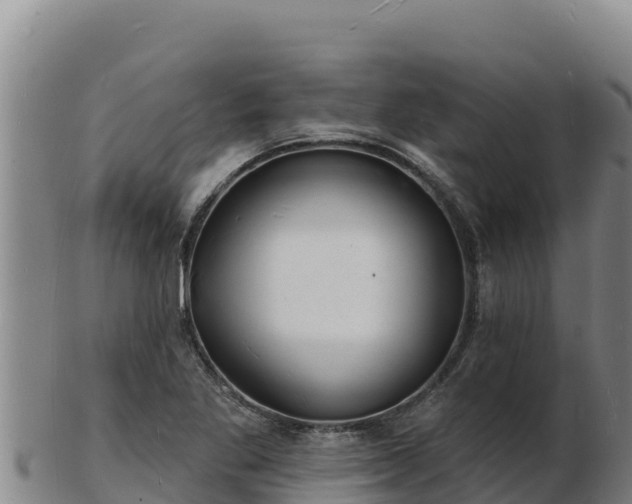 X0000103241269200809041038