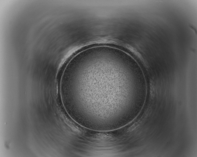X0000103241270200809041038