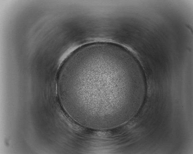 X0000103241271200809041038