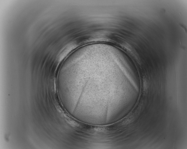 X0000103241274200809041038
