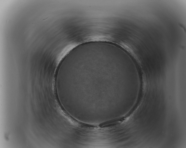 X0000103241277200809041038
