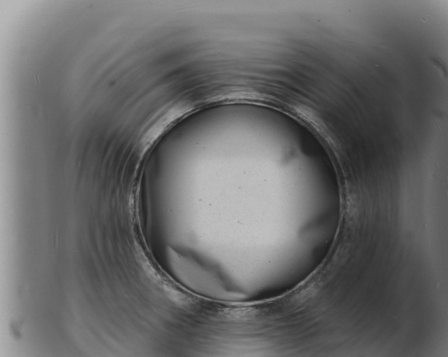 X0000103241282200809041038