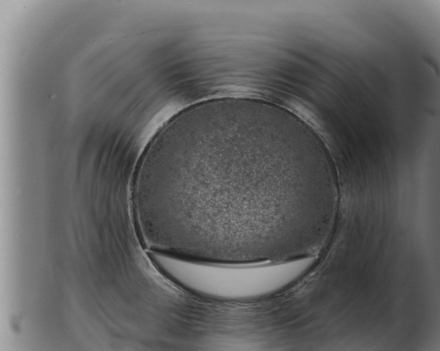 X0000103241283200809041038