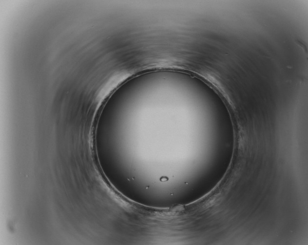 X0000103241285200809041038