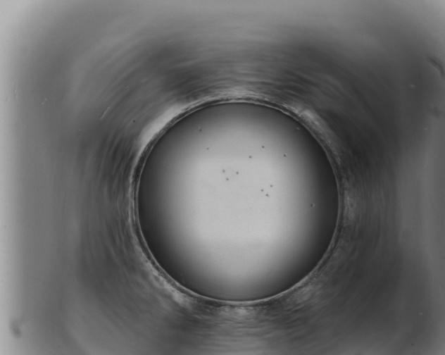 X0000103241286200809041038