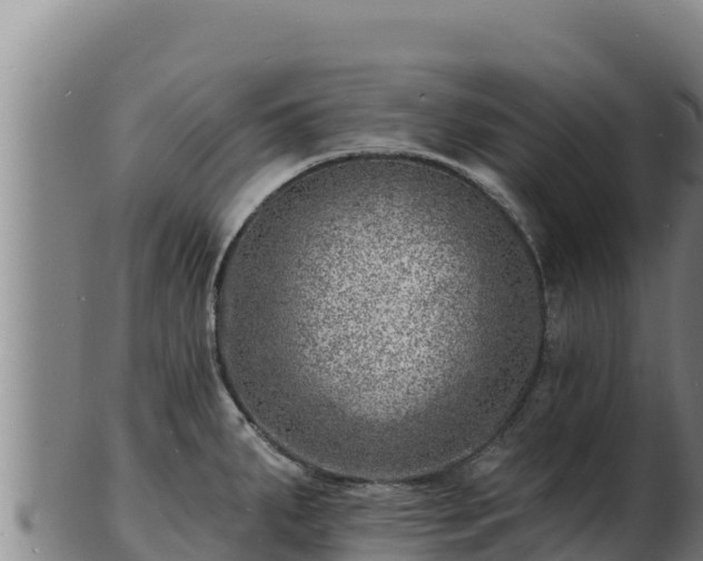 X0000103241287200809041038