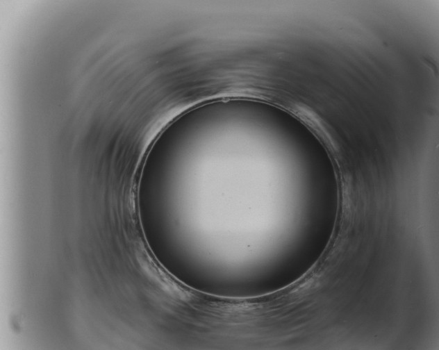 X0000103241292200809041038