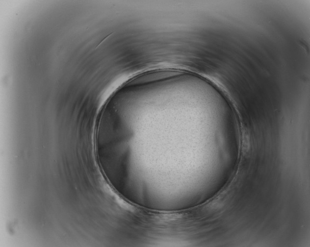X0000103241294200809041038